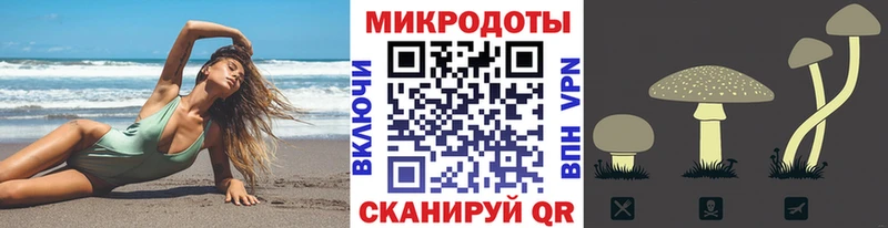 где можно купить наркотик  Алупка  Псилоцибиновые грибы Cubensis 